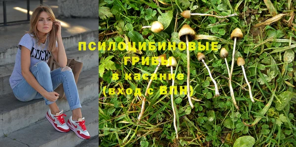 прущая мука Алзамай