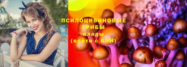 герыч Алексин