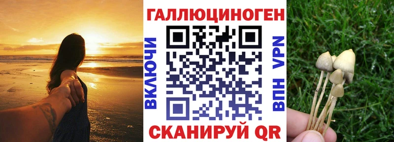 Галлюциногенные грибы GOLDEN TEACHER Саров
